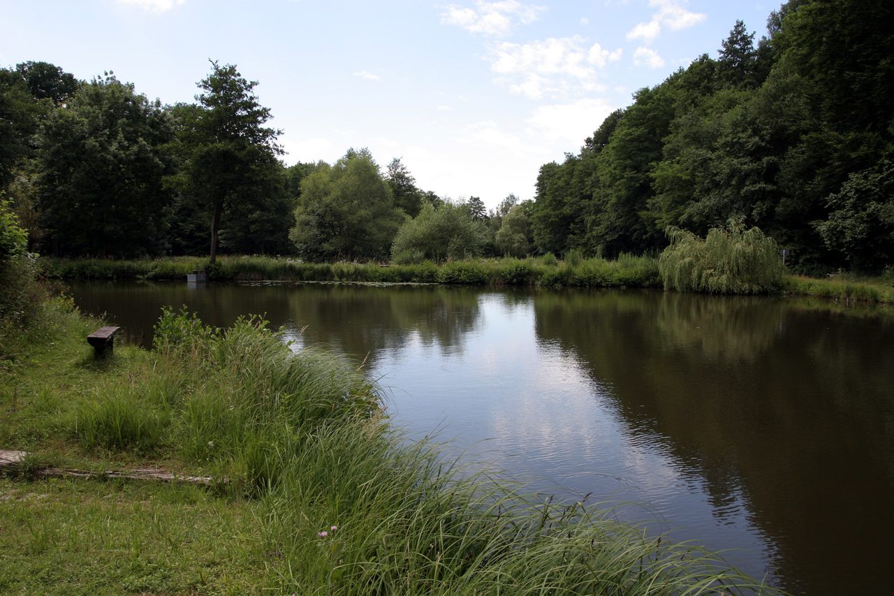 Fischerteiche, vom Darmbach durchflossen